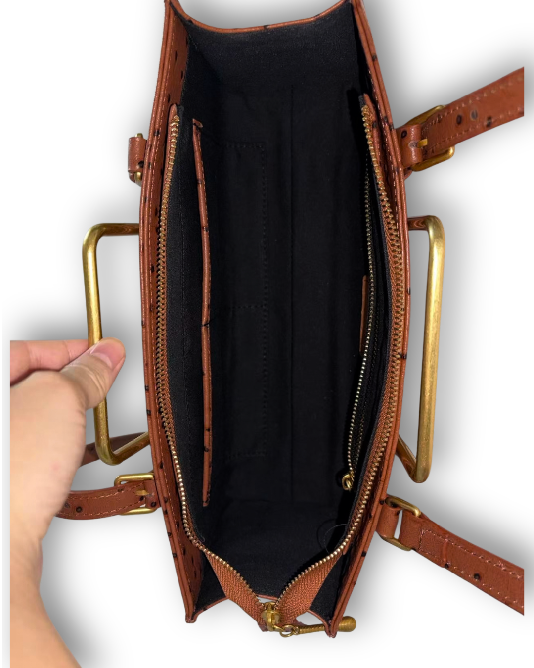 【 E‘LAN】【予約販売】